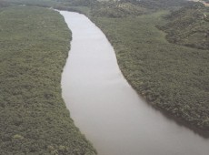 Um manguezal diferente  Rio Piraqueaçu