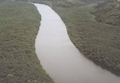 Um manguezal diferente  Rio Piraqueaçu