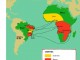 Africanos que vieram para o Brasil - Por Cleber Maciel
